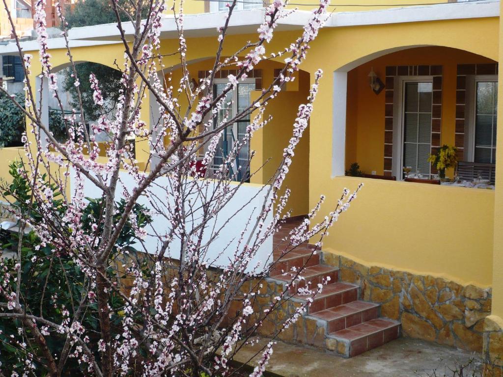 Apartments Brac Supetar Exterior photo